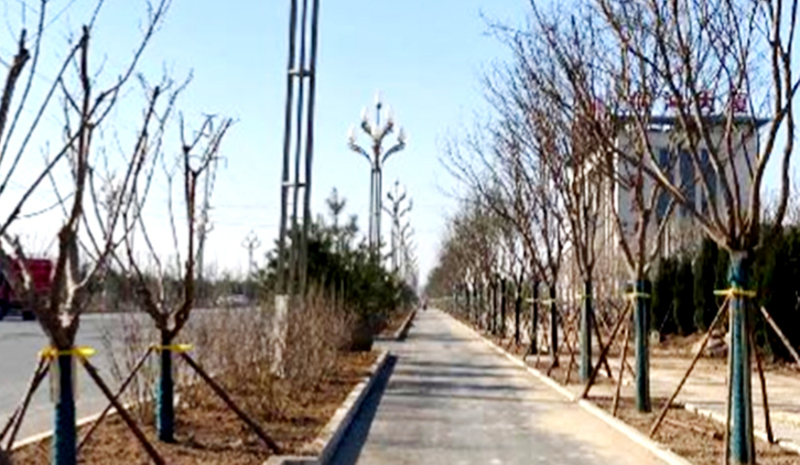 North Street, Dali County, Shaanxi Province